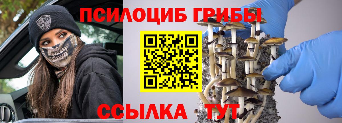 Псилоцибиновые грибы ЛСД  Псилоцибиновые грибы мицелий  Звенигород  Вход с VPN 